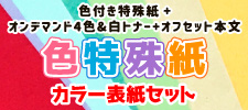 色特殊紙カラー表紙セット