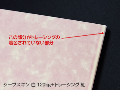 シープスキン 白 120kgの透け具合