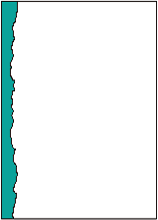 ビリビリ（Ｂ５）