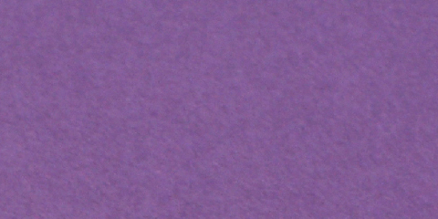 NTラシャ 藤紫 70kg